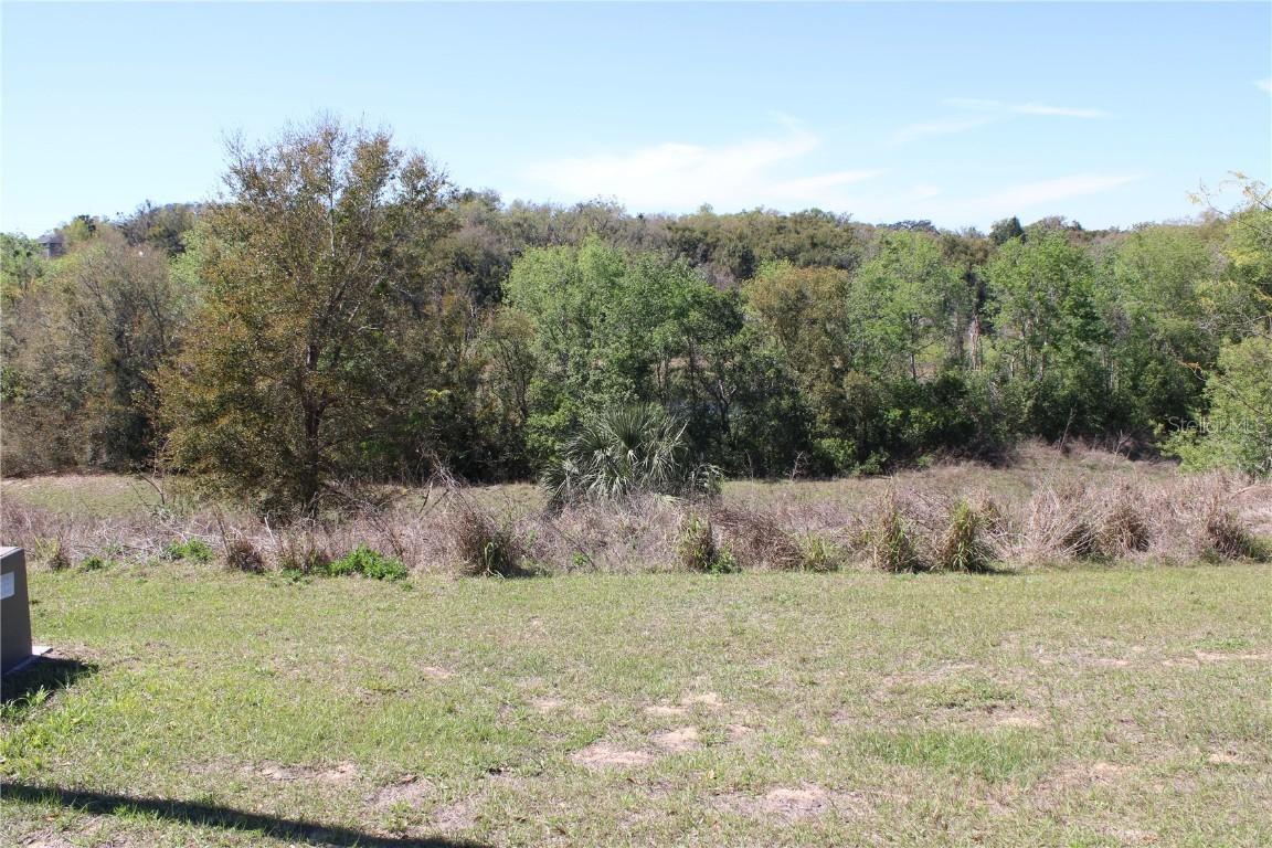 Morningview Dr., Eustis, FL 32726