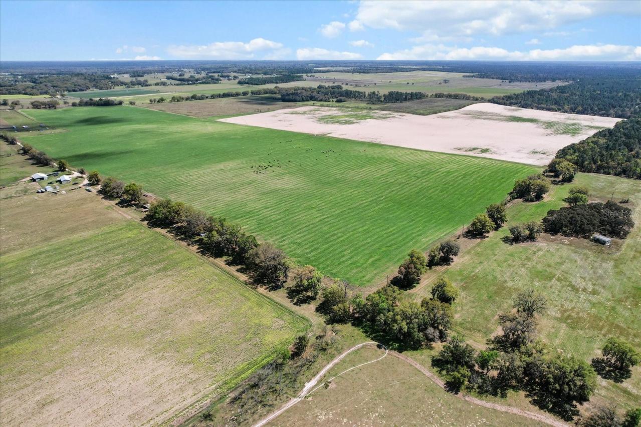 (190 AC-see addt'l PID's) NW 225th Ave., Dunnellon, FL 34431