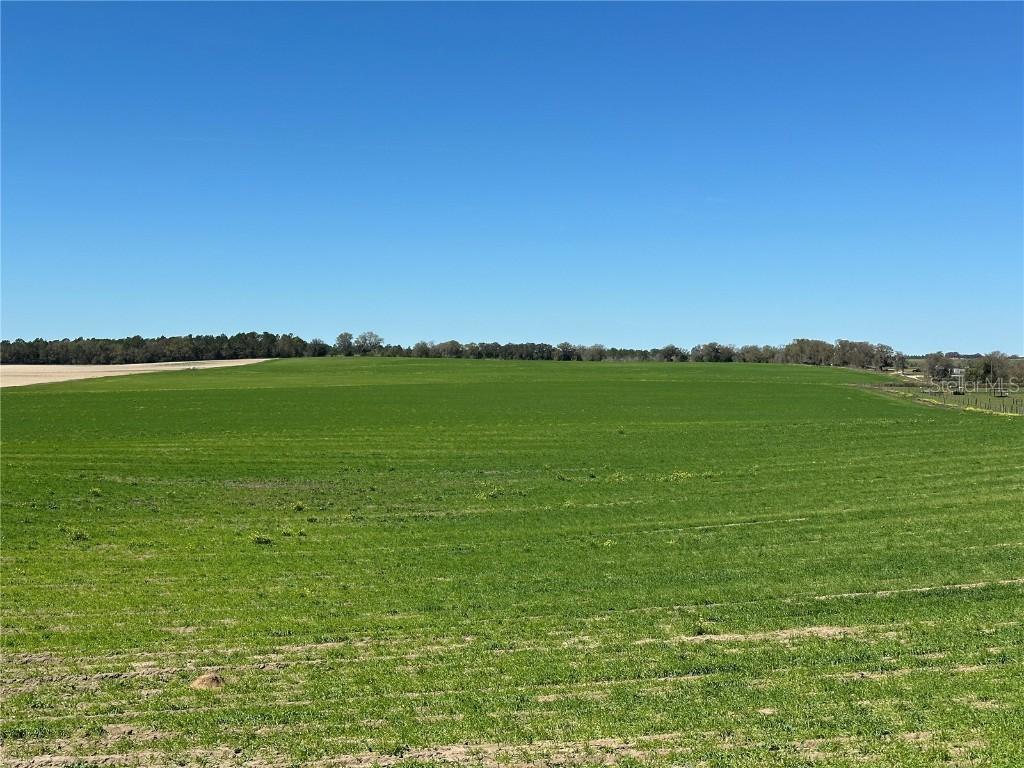 (190 AC-see addt'l PID's) NW 225th Ave., Dunnellon, FL 34431