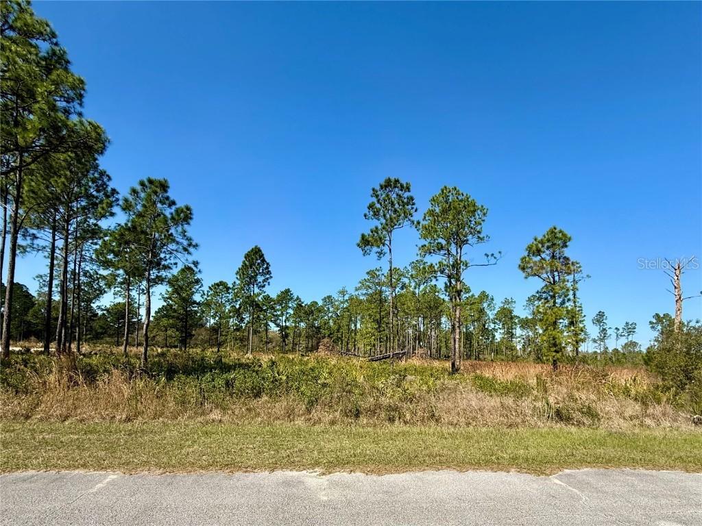 LOT 8 and 9 Honeysuckle St., Eustis, FL 32736
