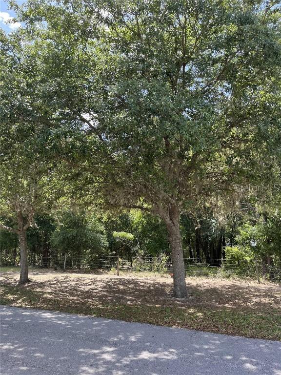 TBD Grass Roots Rd., Groveland, FL 34736