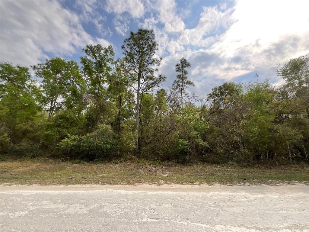 Forge Dr., Webster, FL 33597
