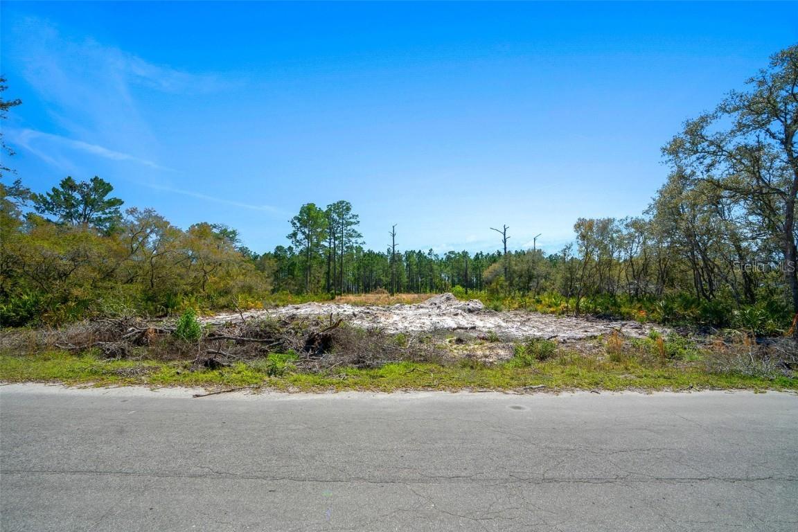 [Address Hidden by Seller], Ocklawaha, FL 32179