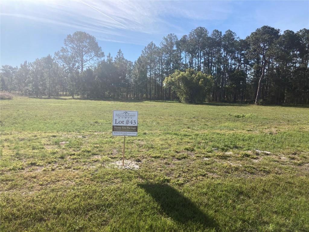 38518 Wooded Meadow Dr., Umatilla, FL 32784