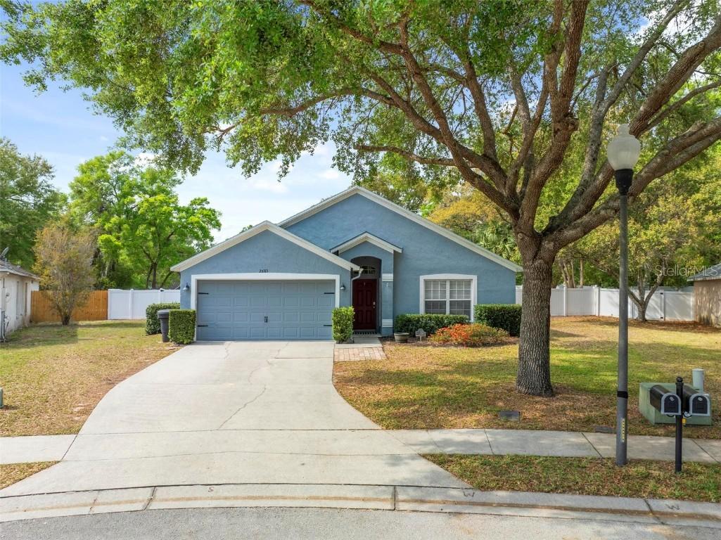 25313 Ironwedge Dr., Mount Plymouth, FL 32776