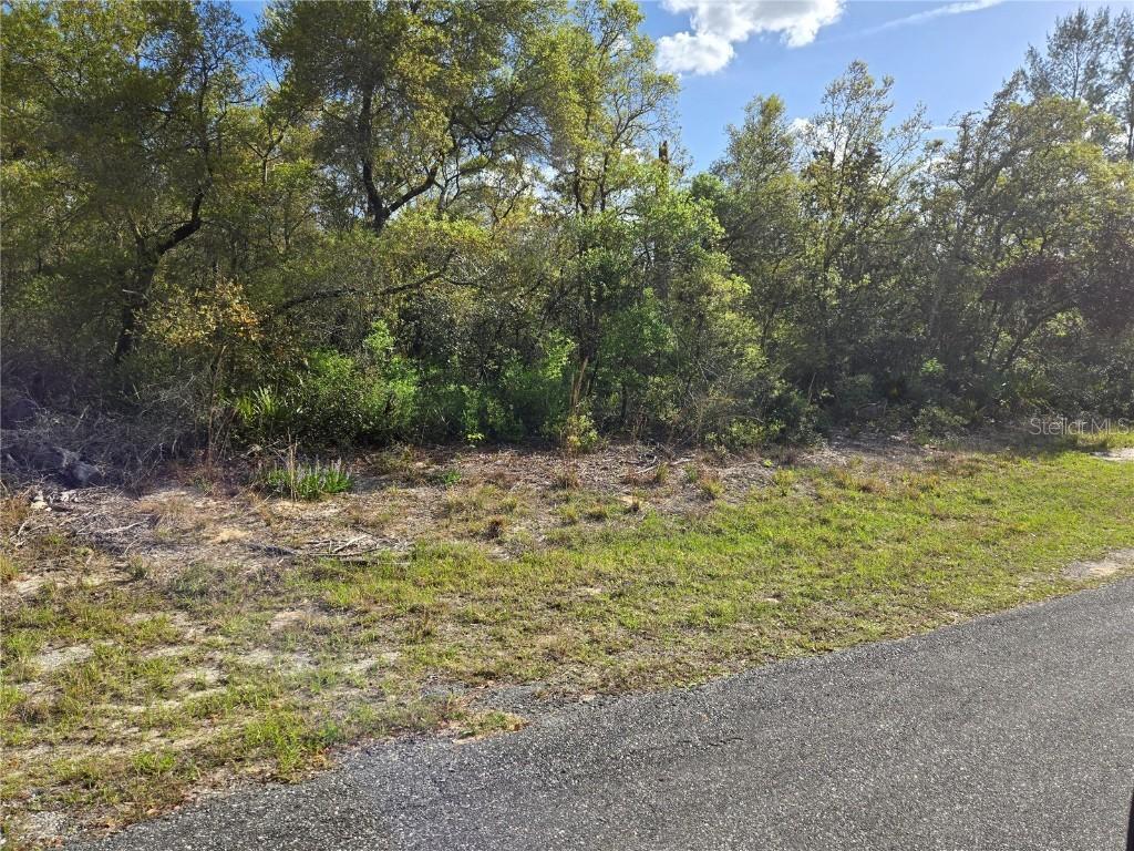 Cr 245c, Oxford, FL 34484