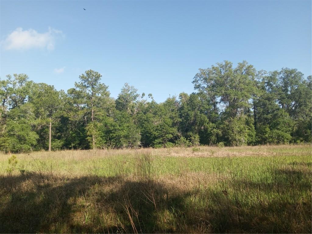 Mecca Rock Rd., Webster, FL 33597