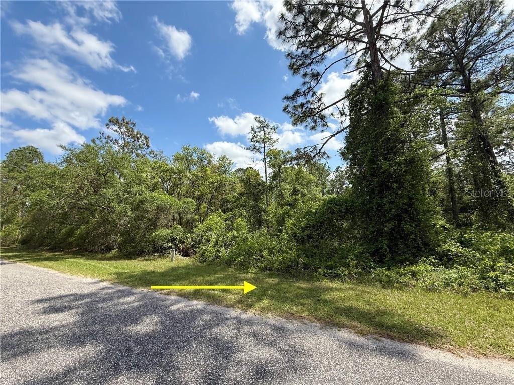 LOT 2 Quince Ave., Eustis, FL 32736