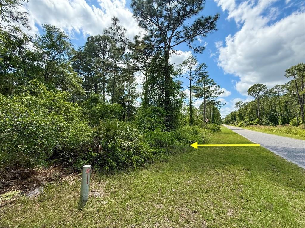 LOT 2 Quince Ave., Eustis, FL 32736