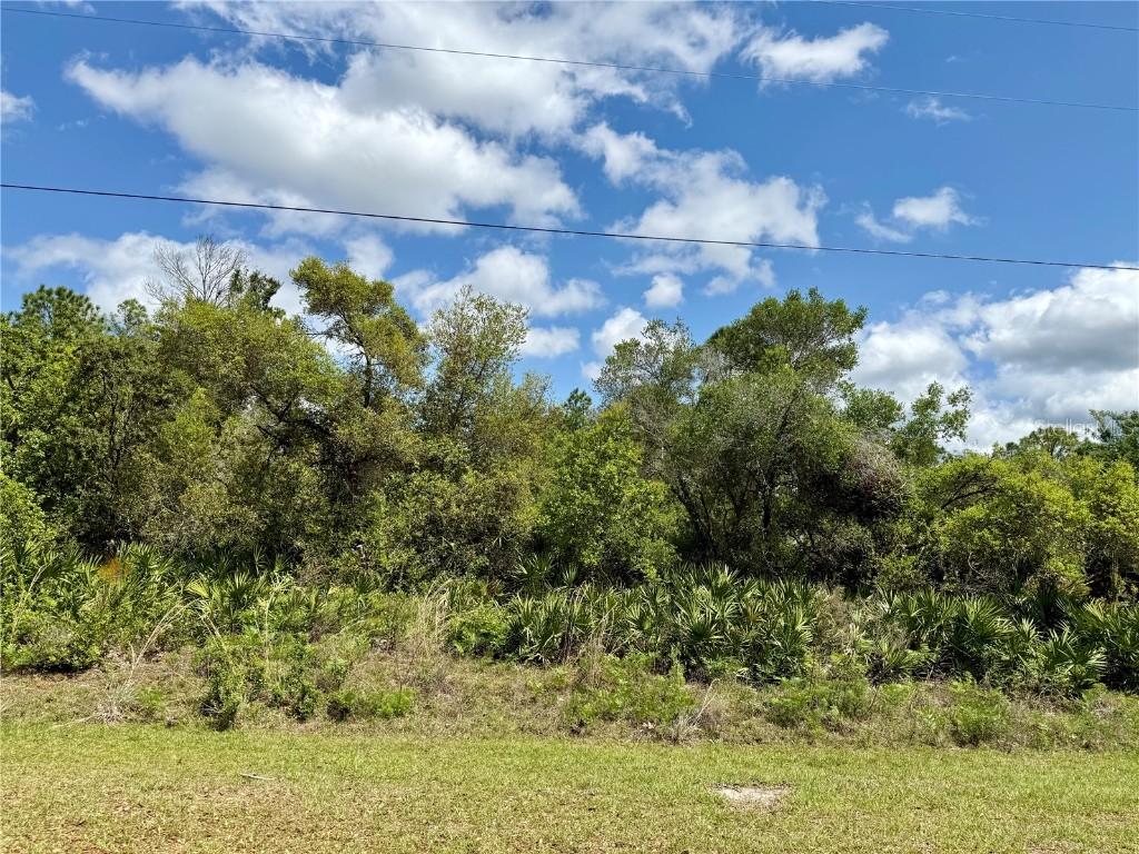 LOT 29 Apricot Ave., Eustis, FL 32736