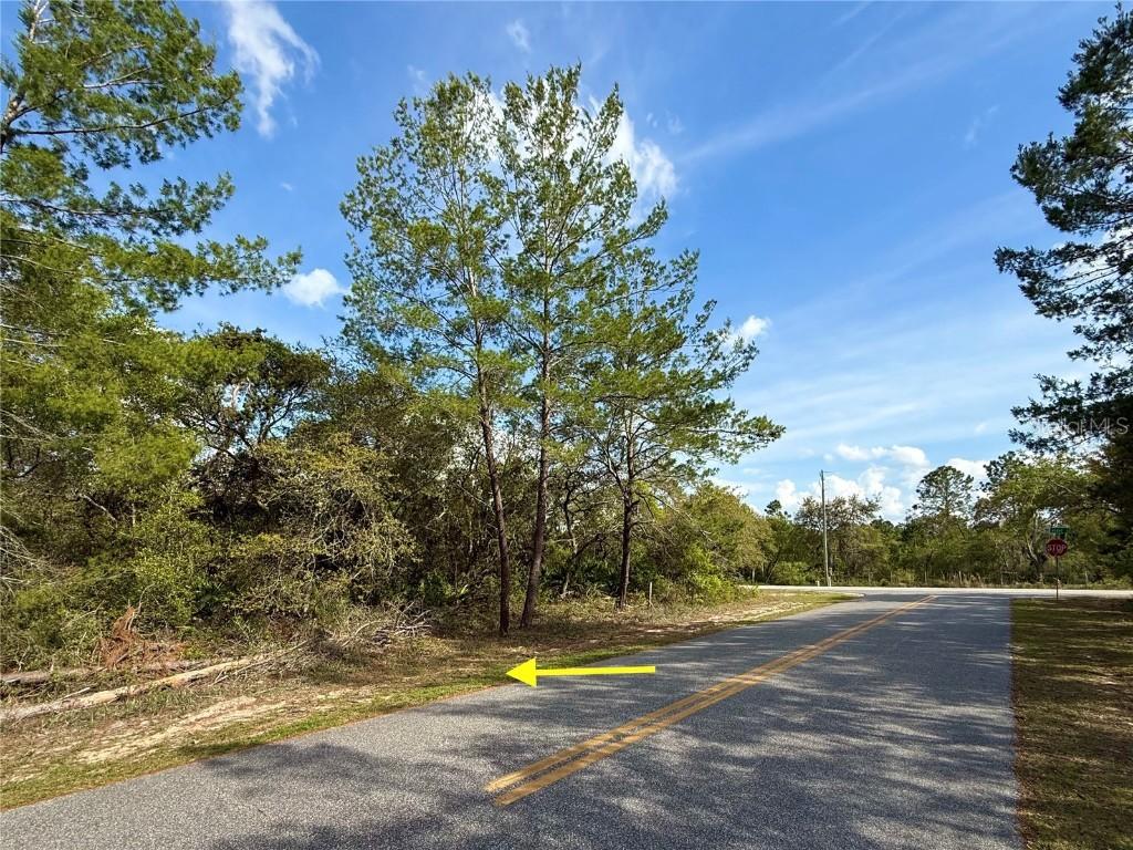 LOT 29 Alder Ave., Eustis, FL 32736