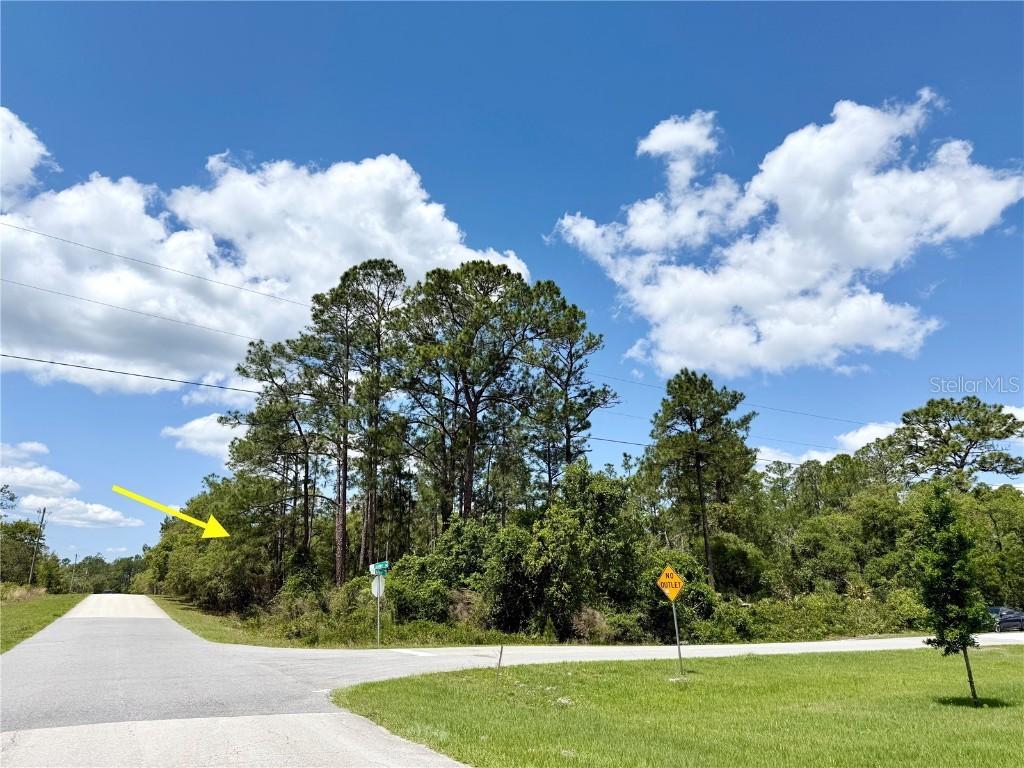 LOT 28 Alder Ct., Eustis, FL 32736
