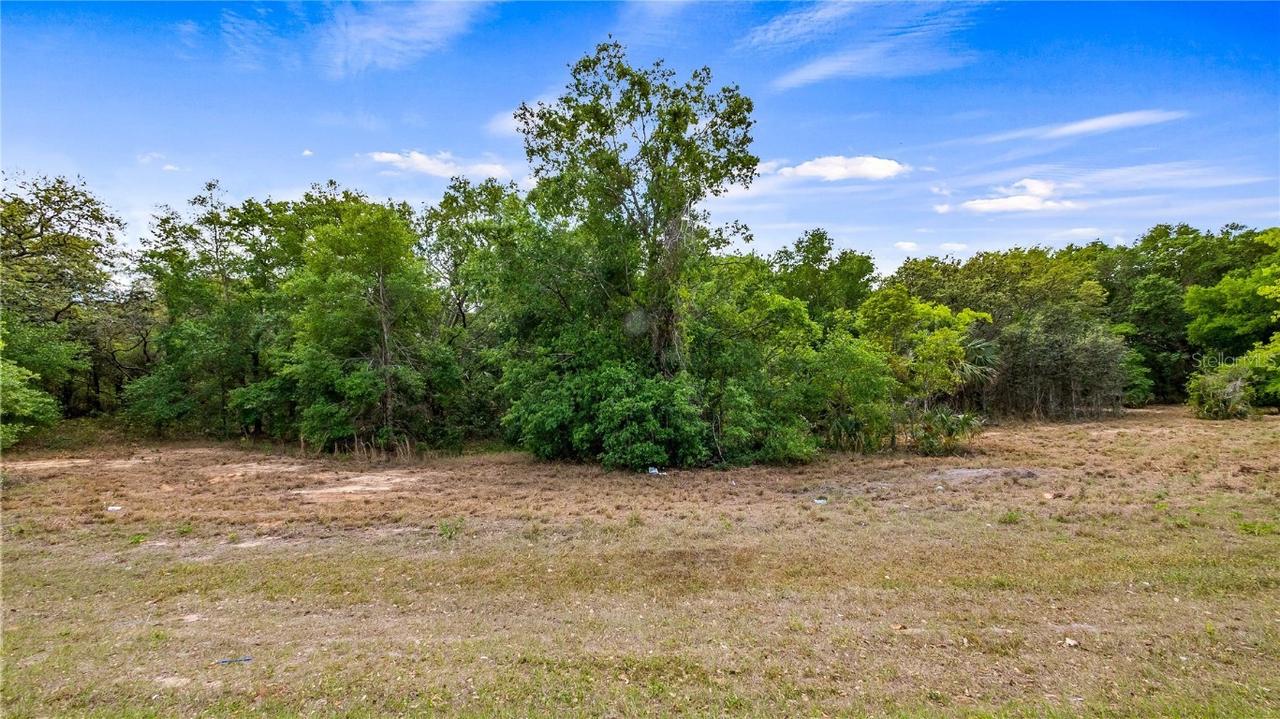 County Road 455, Montverde, FL 34756
