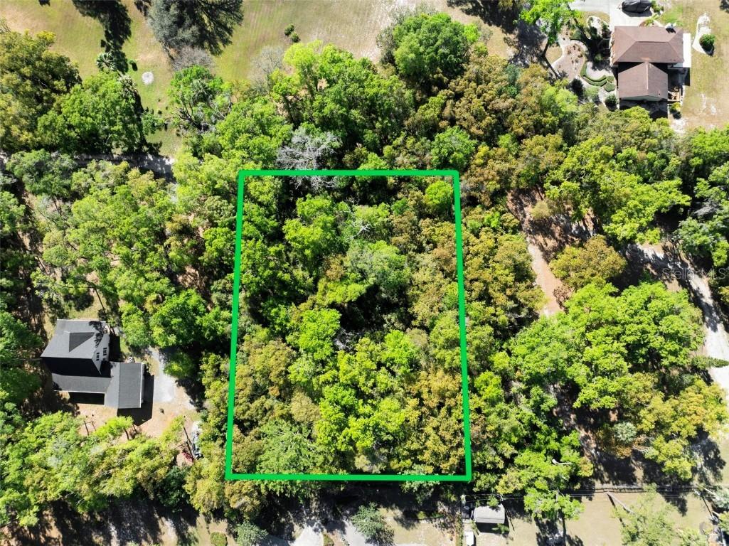 3407 Robinson St., Zellwood, FL 32798