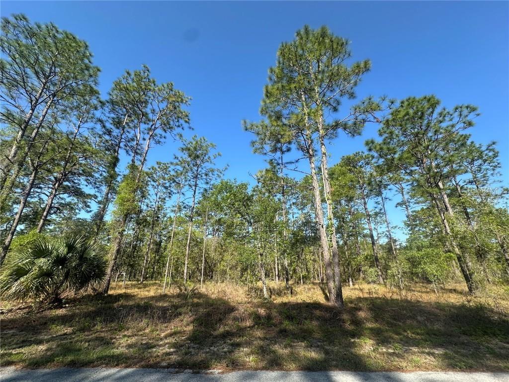 NW Narcissus Rd., Dunnellon, FL 34431