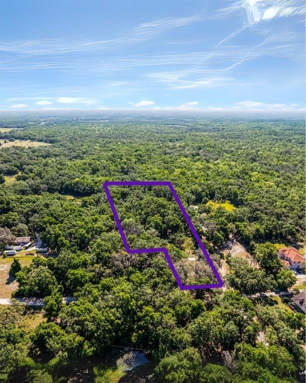 3633 Panther Path Rd., Lutz, FL 33559