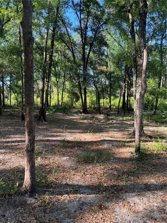 4528 SW 118th Ln., Webster, FL 33597