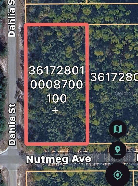 Dahlia St., Eustis, FL 32736