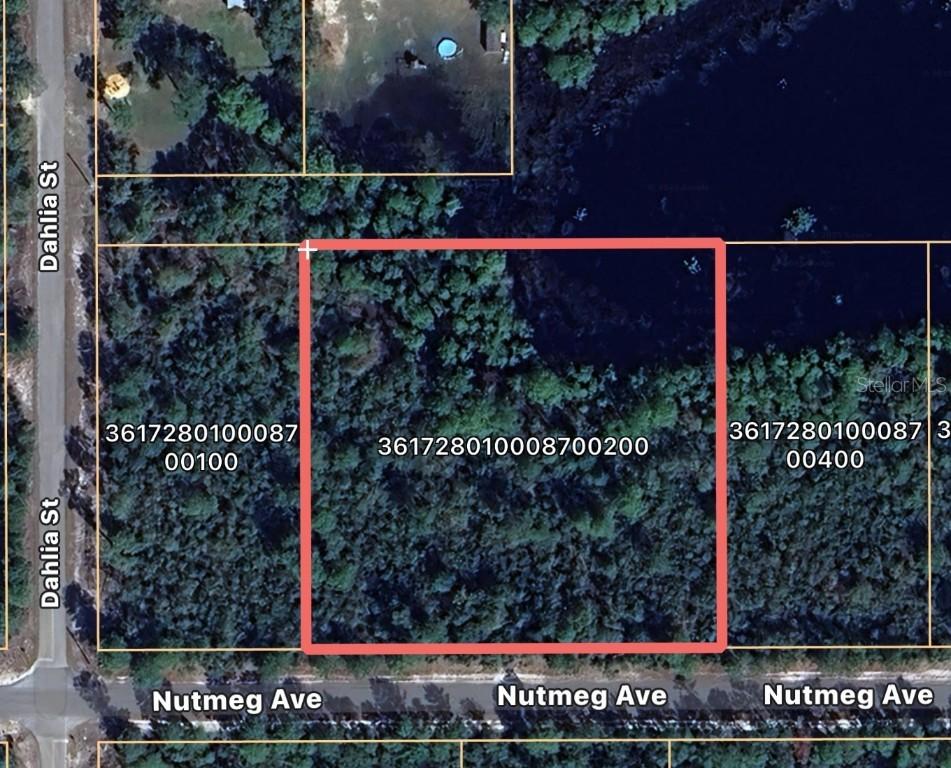 Nutmeg Ave., Eustis, FL 32736