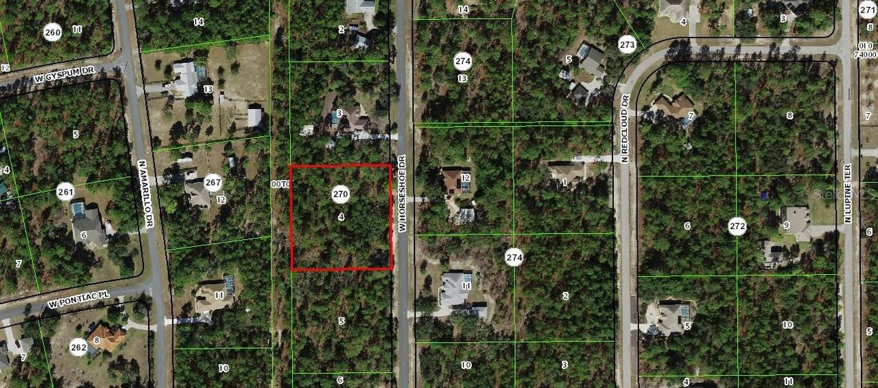4464 W Horseshoe Dr., Beverly Hills, FL 34465