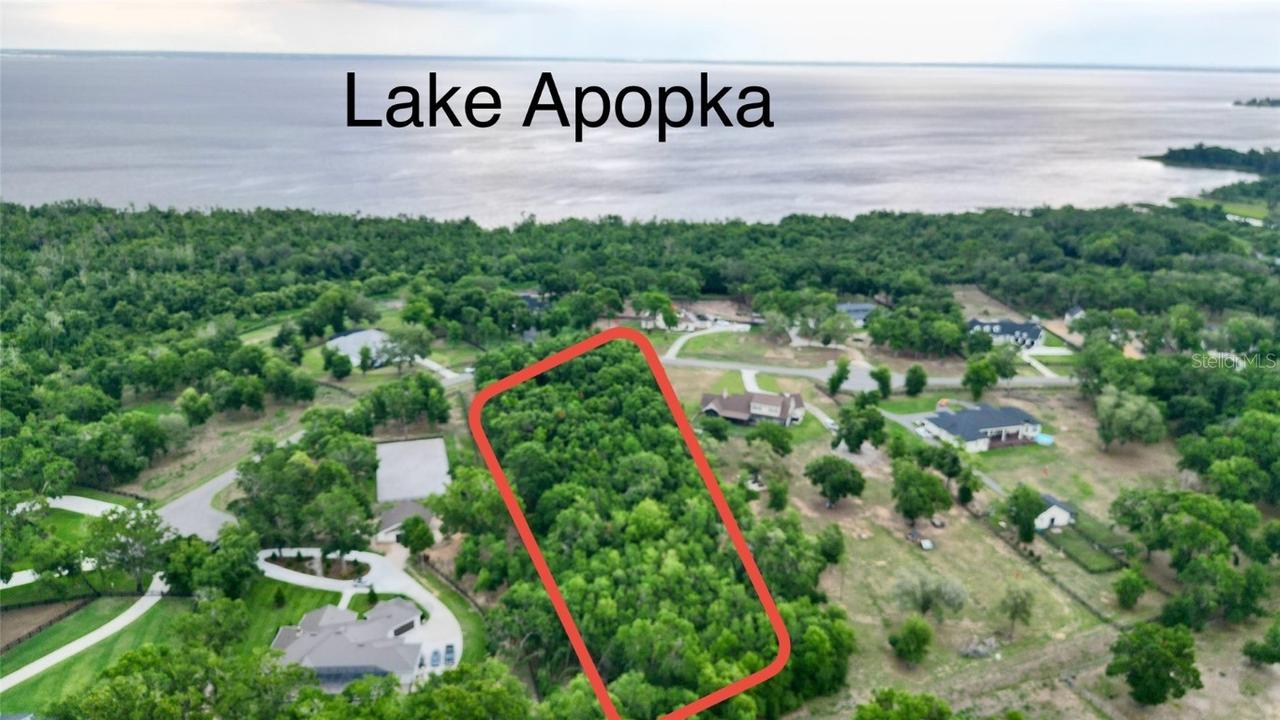Wolf Springs Ct., Clermont, FL 34715