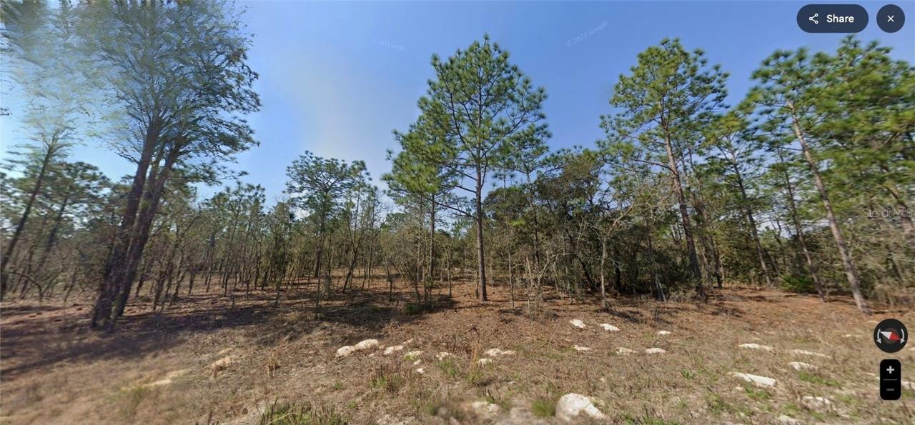 TBD SW 124 Terrace Rd., Ocala, FL 34481