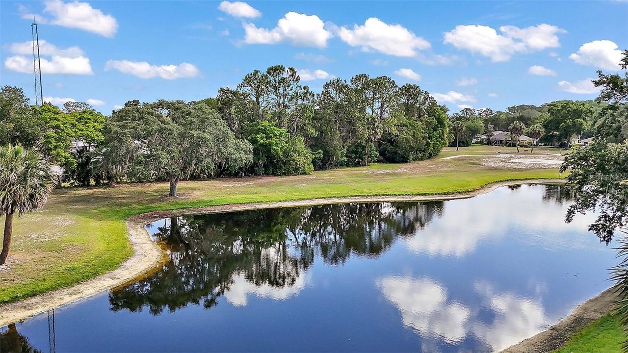 579 Juniper Way, Tavares, FL 32778