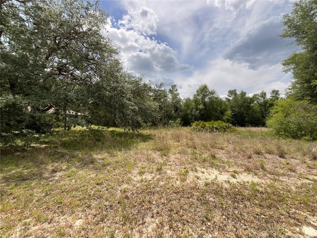 34331 Rim Rock St., Webster, FL 33597