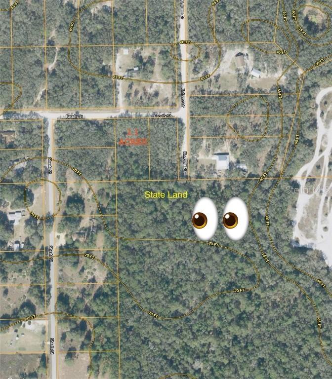 Faculty St., Webster, FL 33597