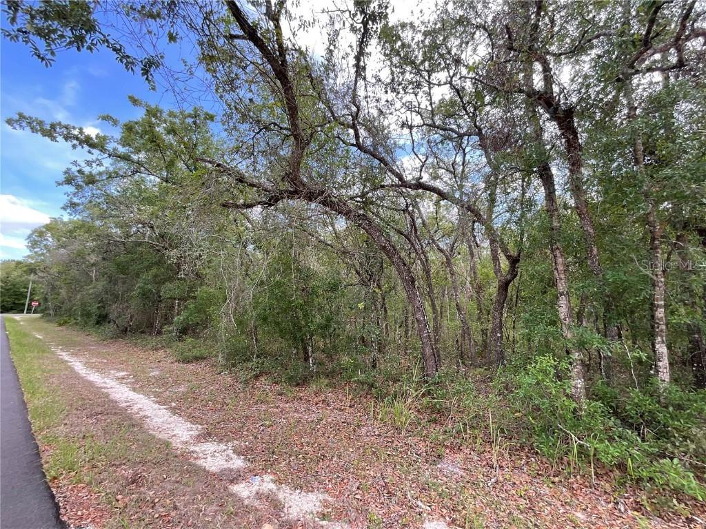 Faculty St., Webster, FL 33597