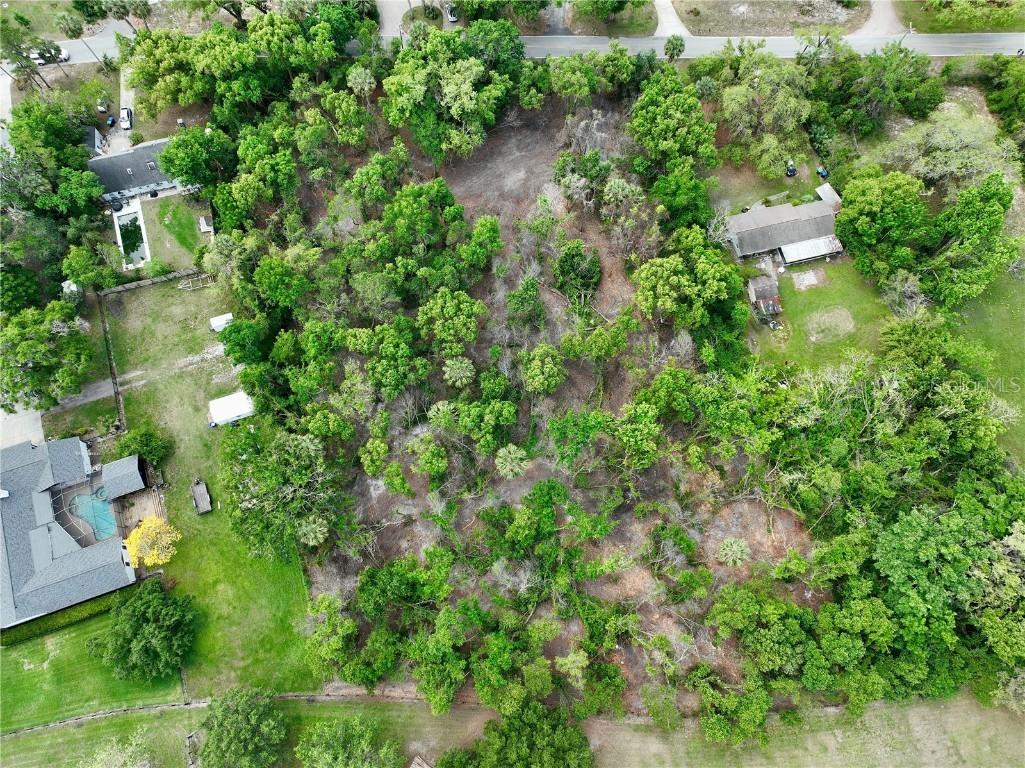 7343 Lake Ola Dr., Mount Dora, FL 32757