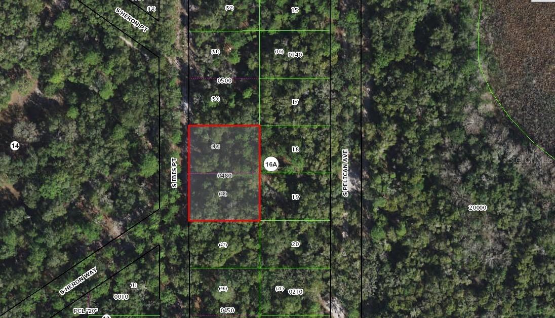 3875 S Ibis Point, Inverness, FL 34450