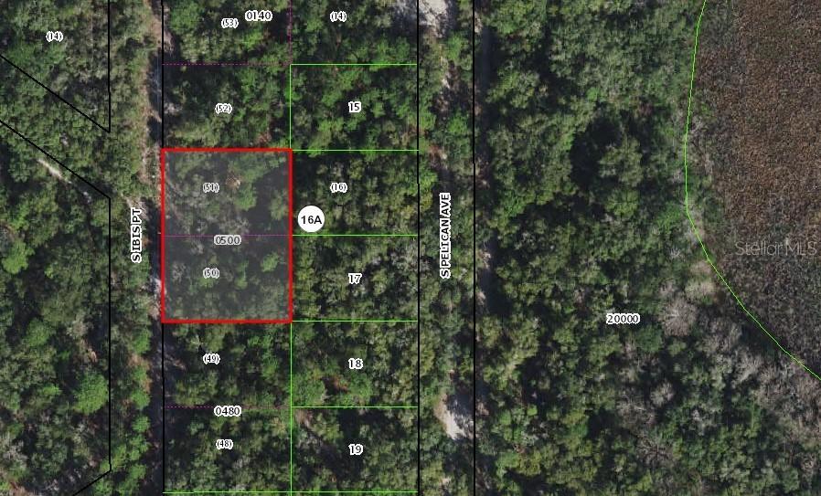 3849 S Ibis Point, Inverness, FL 34450