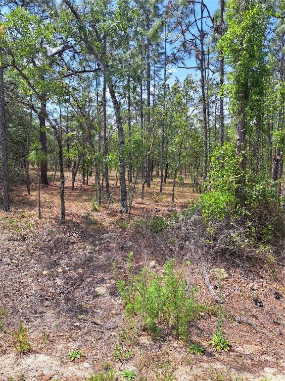 Hemlock Ave., Dunnellon, FL 34431