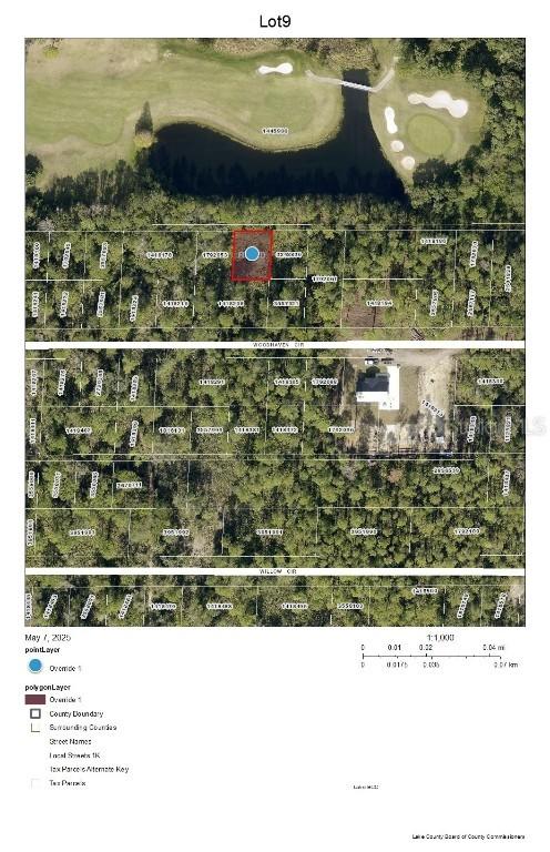 Lot 9 Chase Ct., Mount Dora, FL 32757