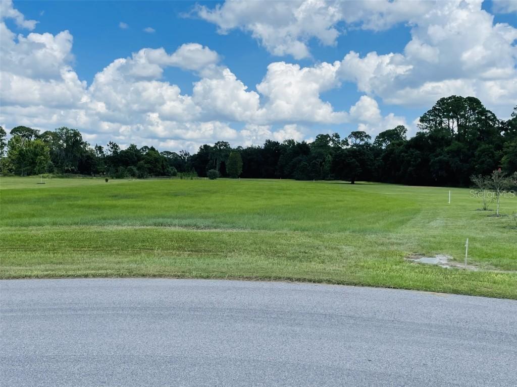 3457 Lake Diane Rd., Tavares, FL 32778