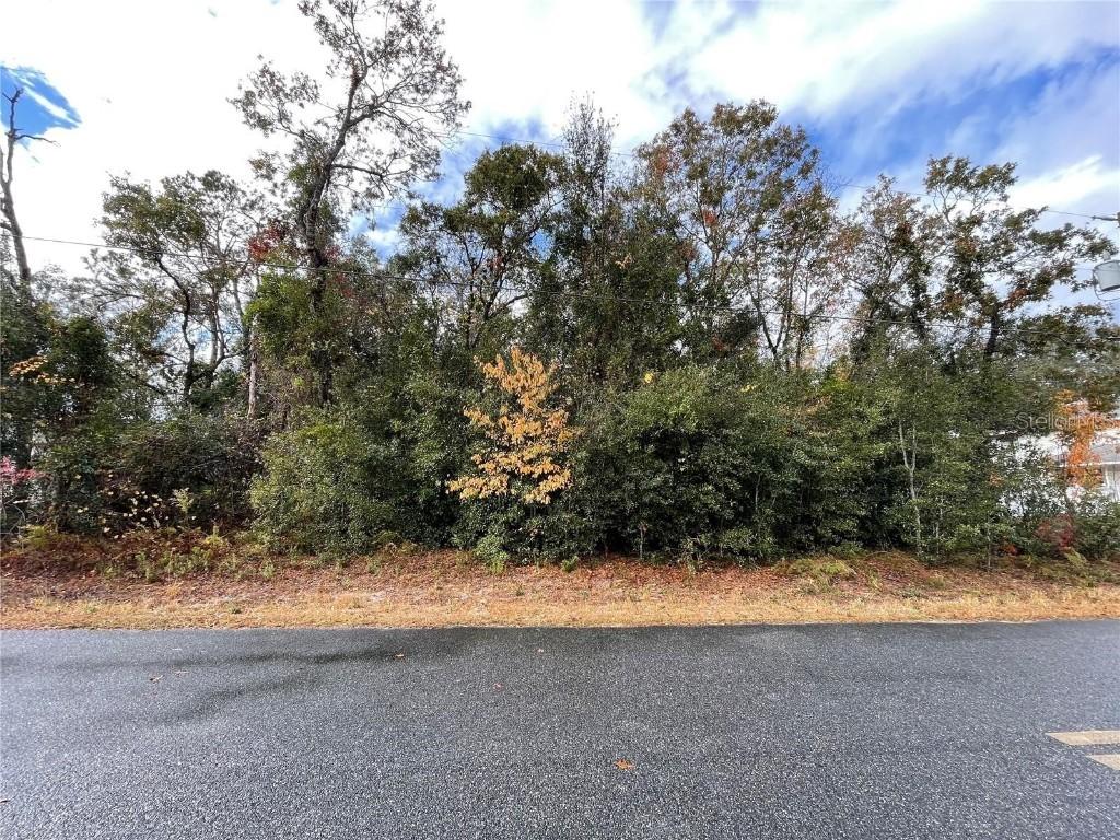 Lot 37 Se 92nd Ter, Summerfield, FL 34491