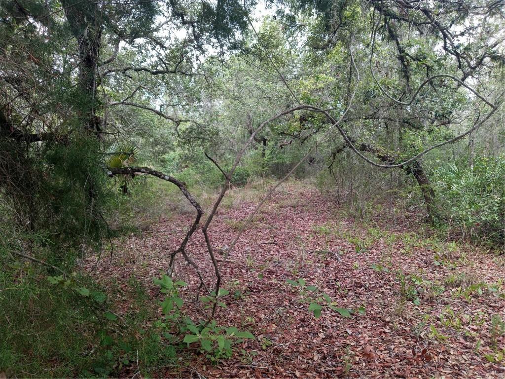 34398 Cornerstone Dr., Webster, FL 33597