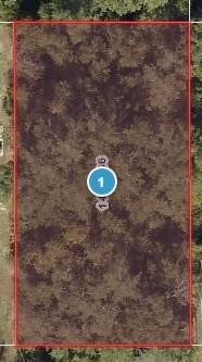 Elm St., Lady Lake, FL 32159