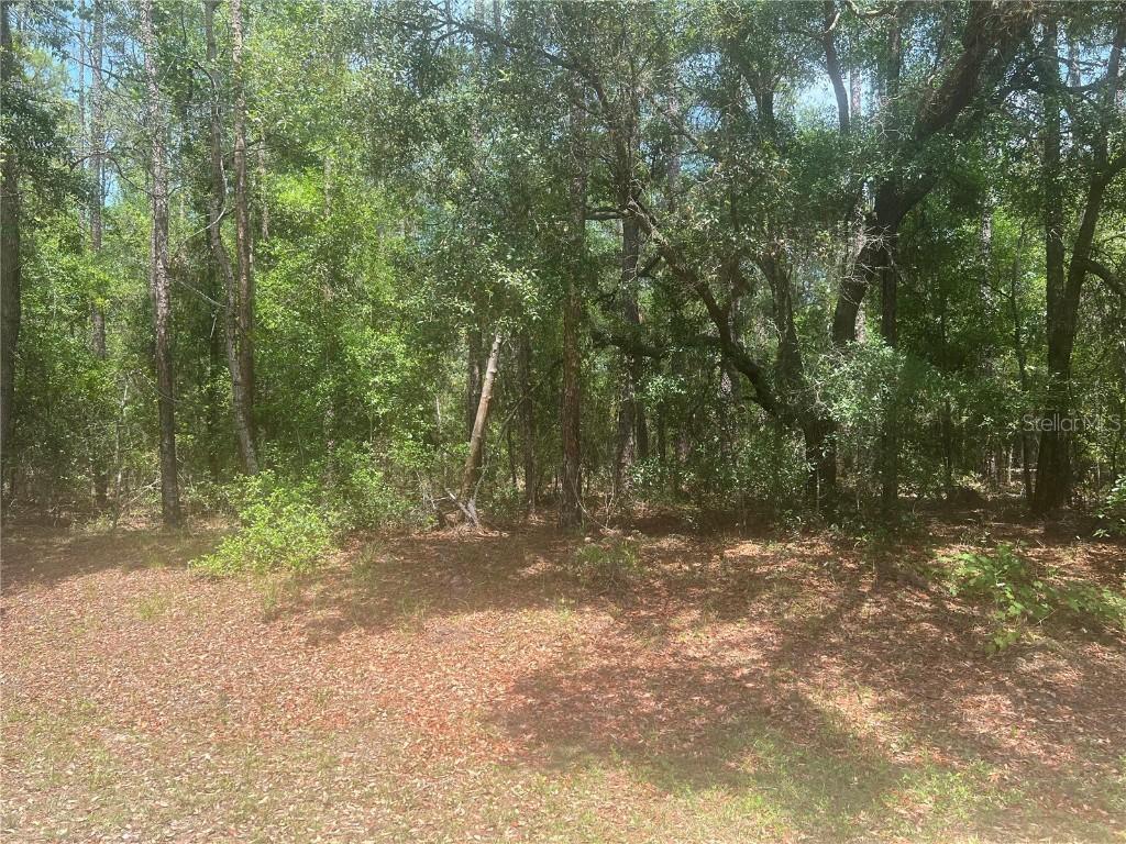 8729 N Wallingford Ave., Dunnellon, FL 34434