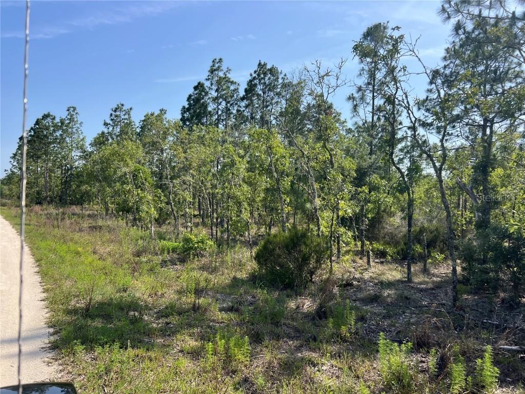 NE 151st Ave., Williston, FL 32696