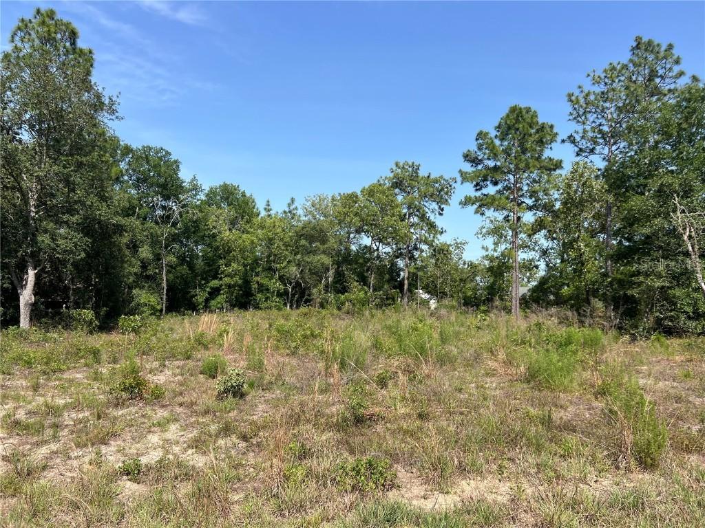 NE 150th Ct, Williston, FL 32696