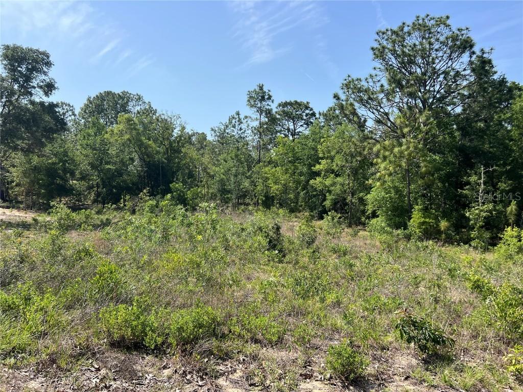 15151 NE 3rd Pl., Williston, FL 32696