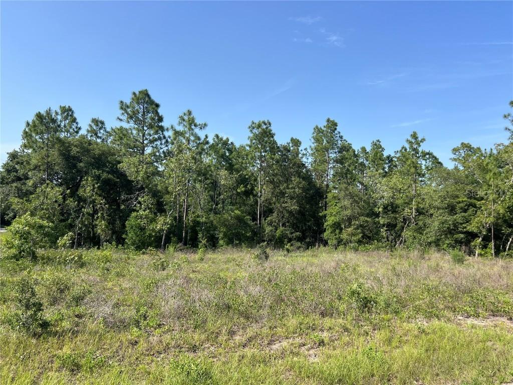 NE 150th Ave., Williston, FL 32696
