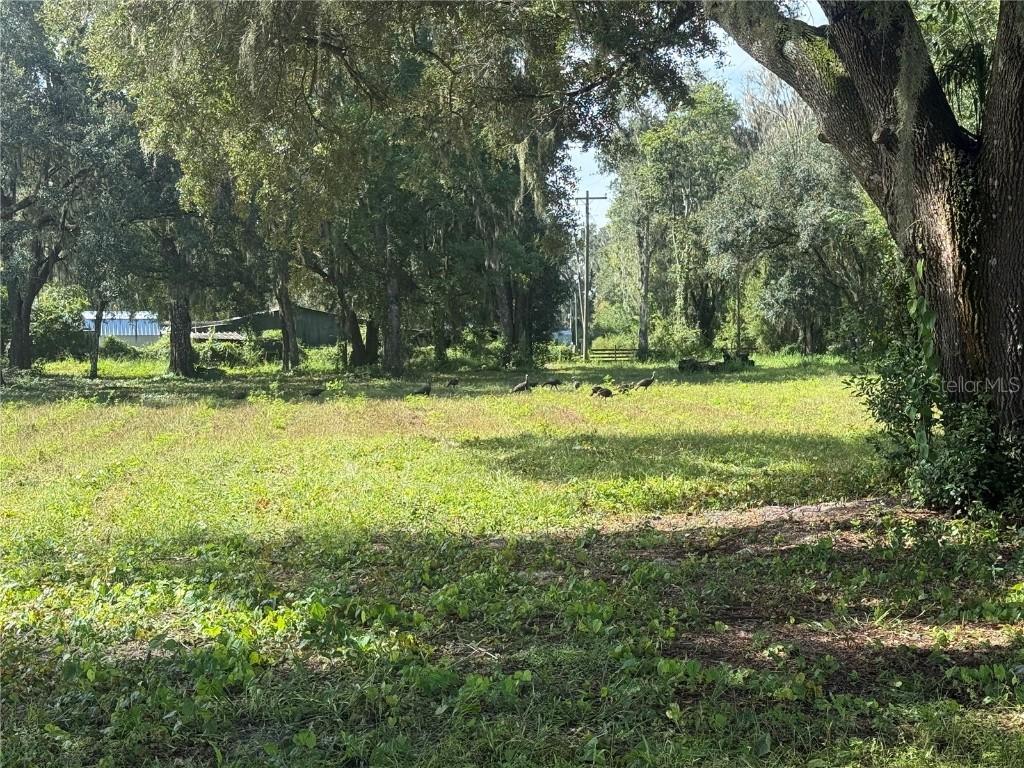 Se 124th Ave, Webster, FL 33597