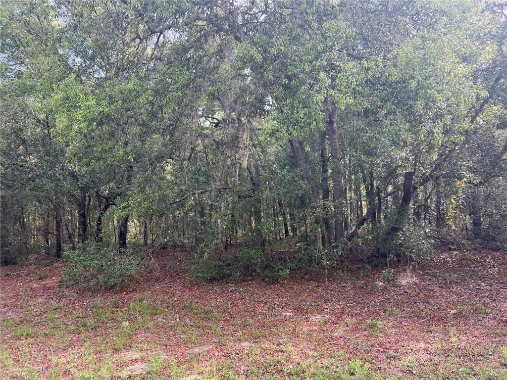 8381 N Quarry Dr., Citrus Springs, FL 34434