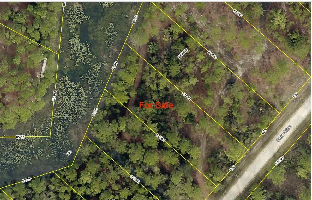 Otter Dr., Webster, FL 33597