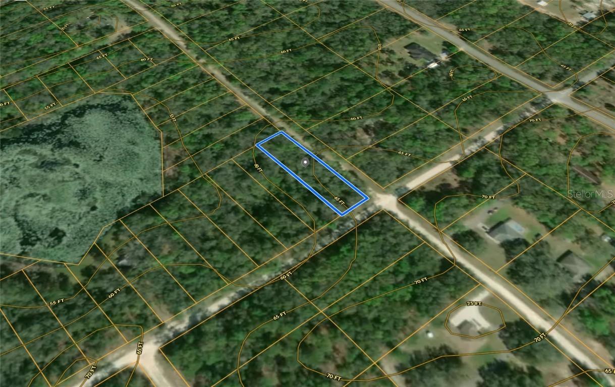 Smallman St., Webster, FL 33597
