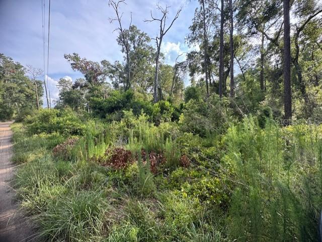 SW 58th St., Webster, FL 33597