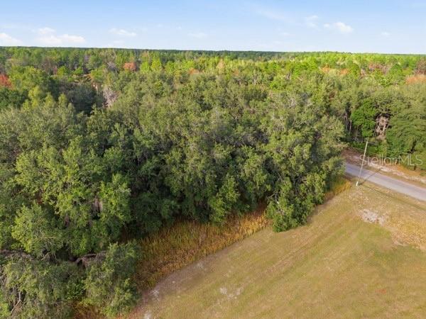 Lot 2 SW 146th Lane Rd., Ocala, FL 34473